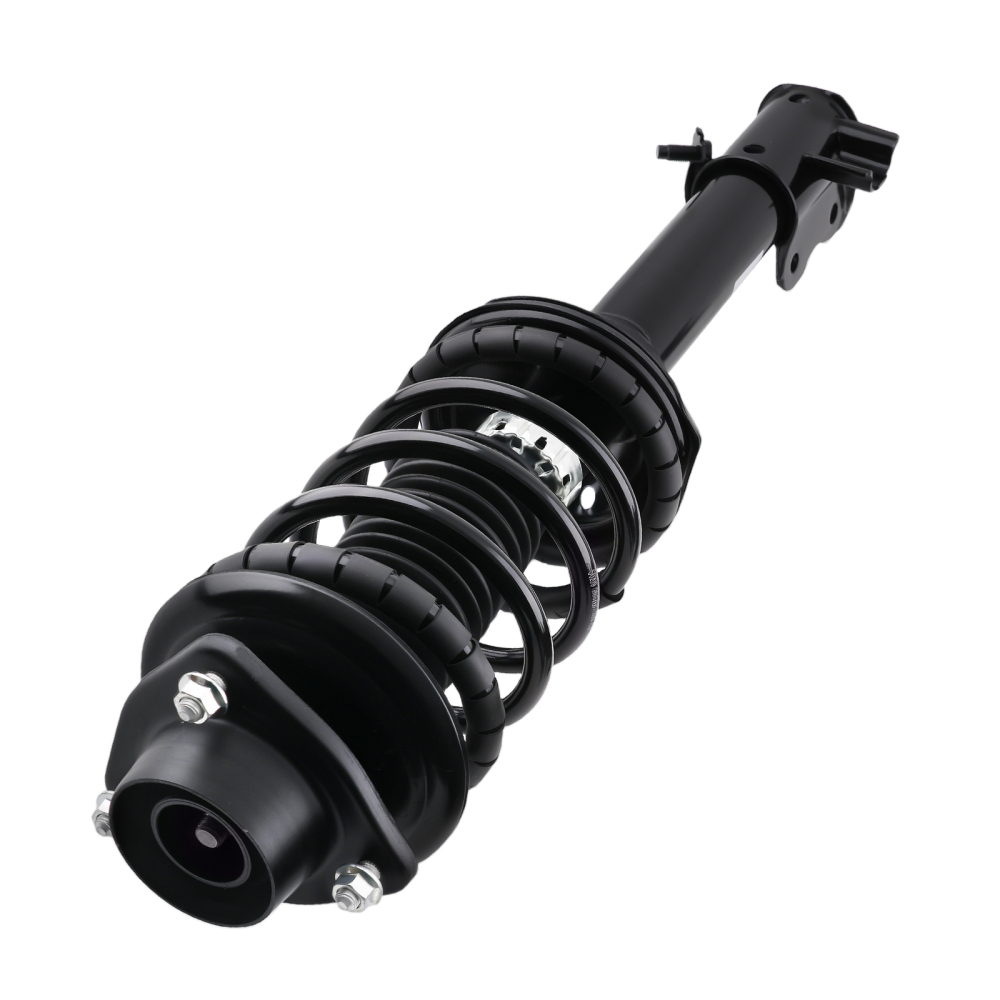 Rear Struts w/ Coil Spring Assembly compatible for Nissan Altima 1993-1999 171943 171944