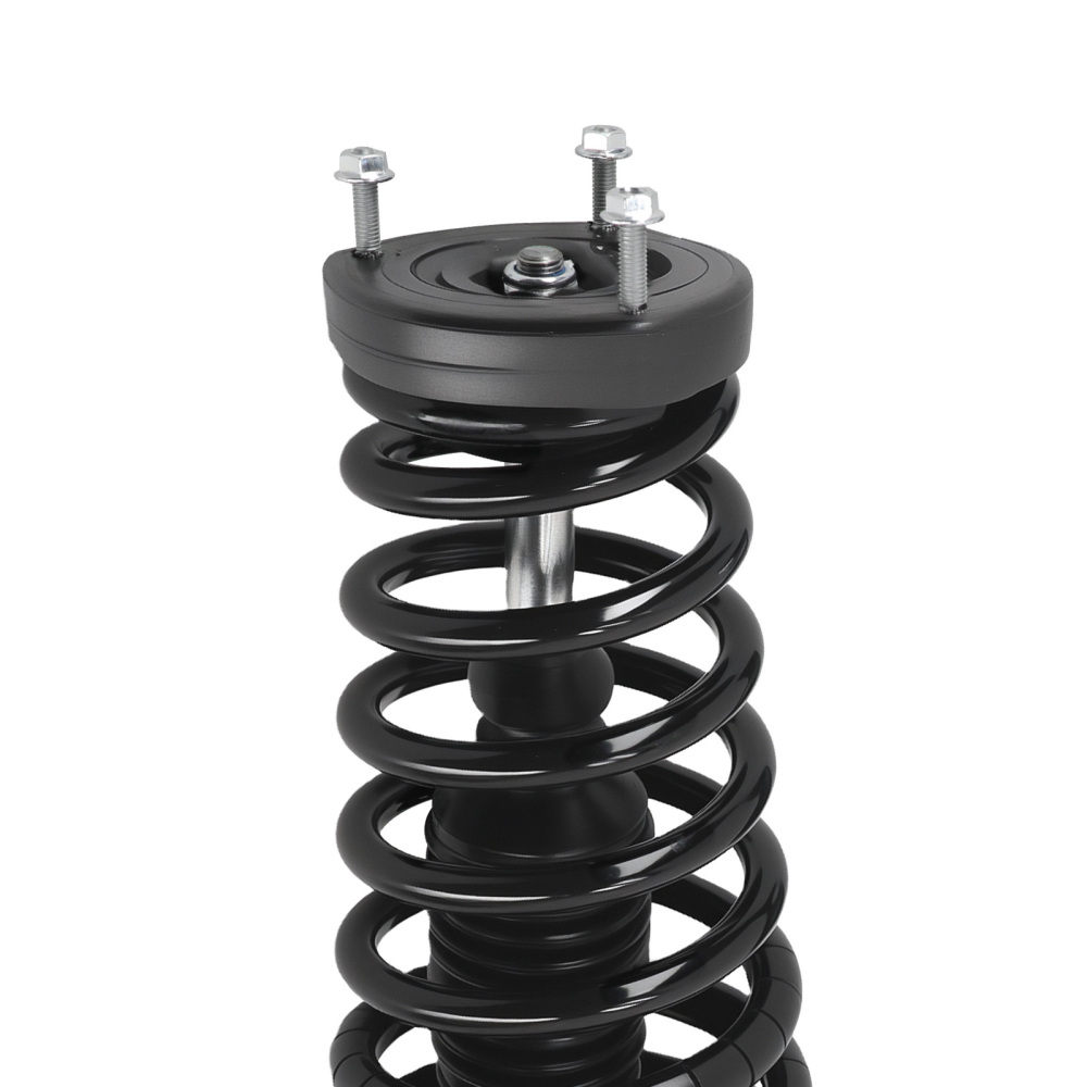 Rear Struts with Coil Spring Assembly Set for 2002 2003 compatible for Toyota Camry Lexus ES300