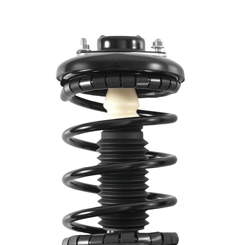 FrontRear Struts Shocks w/ Coil Springs compatible for Nissan Maxima 2000-01 All Models