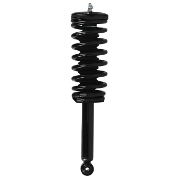 Rear Struts w/Coil Spring Assembly compatible for Nissan Maxima 1995-1999 1336316 171293