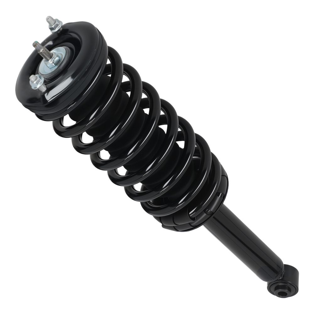 Rear Struts w/Coil Spring Assembly compatible for Nissan Maxima 1995-1999 1336316 171293