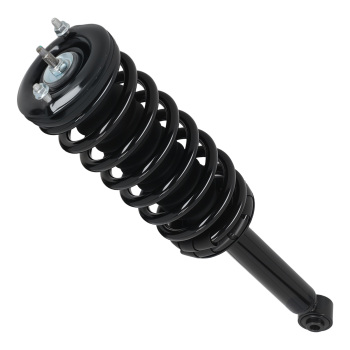 Rear Struts w/Coil Spring Assembly compatible for Nissan Maxima 1995-1999 1336316 171293