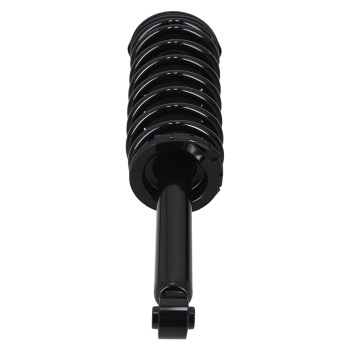 Rear Struts w/Coil Spring Assembly compatible for Nissan Maxima 1995-1999 1336316 171293