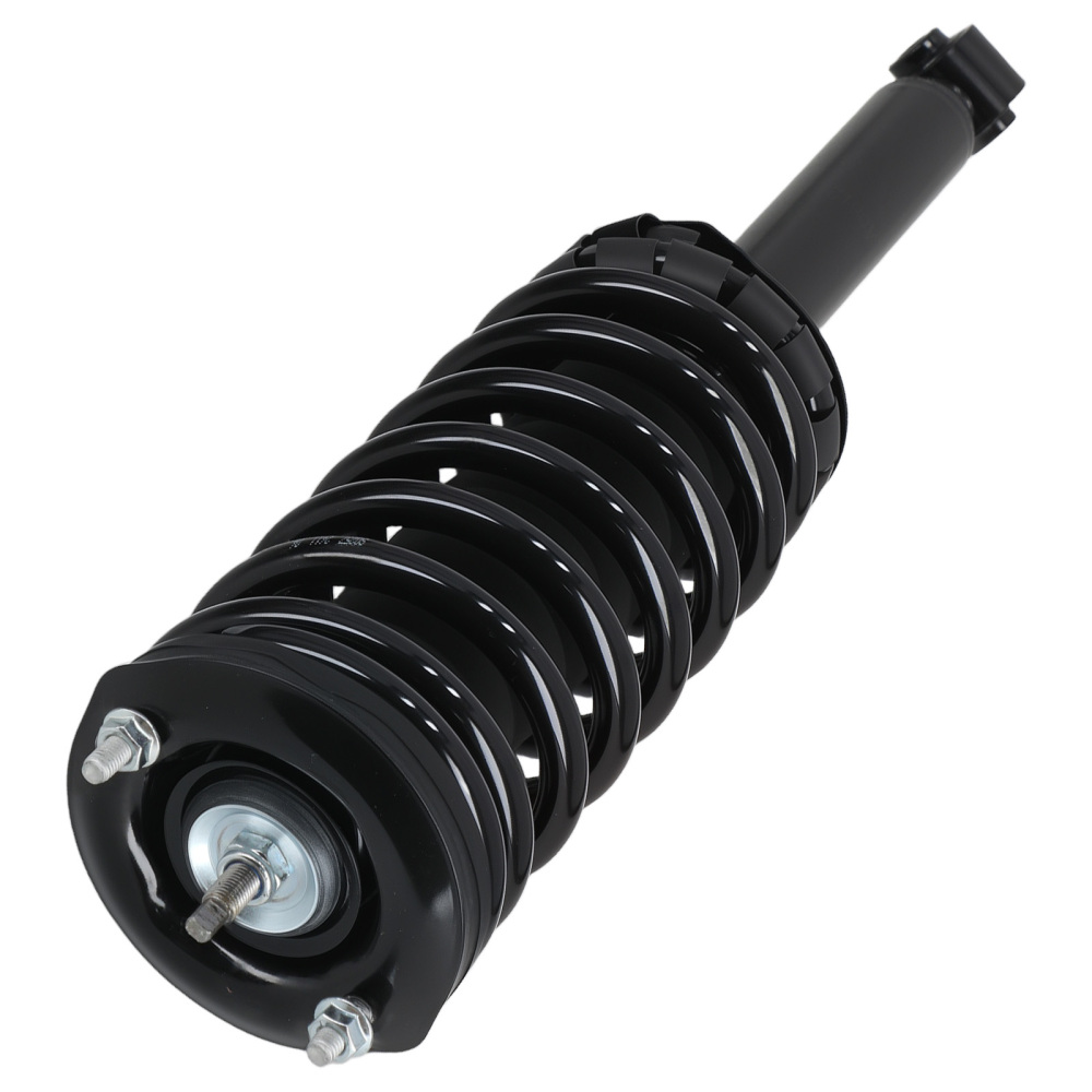 Rear Struts w/Coil Spring Assembly compatible for Nissan Maxima 1995-1999 1336316 171293