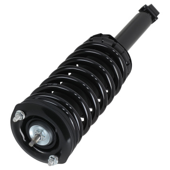 Rear Struts w/Coil Spring Assembly compatible for Nissan Maxima 1995-1999 1336316 171293