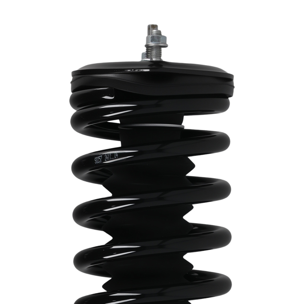 Rear Struts w/Coil Spring Assembly compatible for Nissan Maxima 1995-1999 1336316 171293