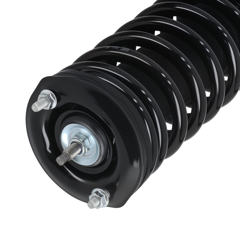 Rear Struts w/Coil Spring Assembly compatible for Nissan Maxima 1995-1999 1336316 171293