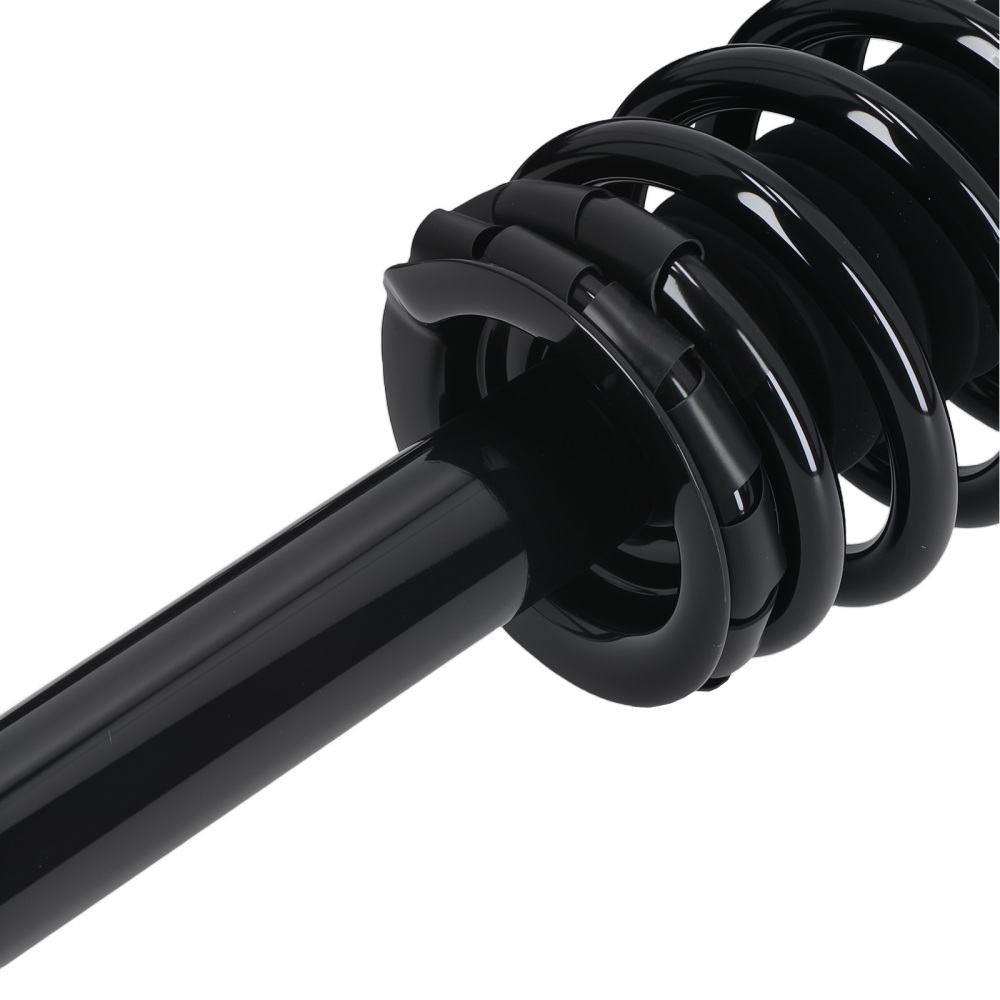 Rear Struts w/Coil Spring Assembly compatible for Nissan Maxima 1995-1999 1336316 171293