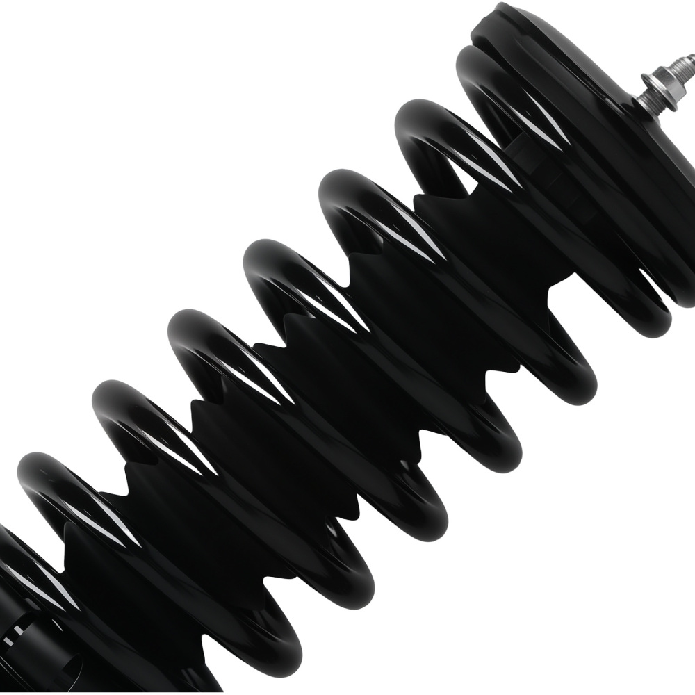 Rear Struts w/Coil Spring Assembly compatible for Nissan Maxima 1995-1999 1336316 171293