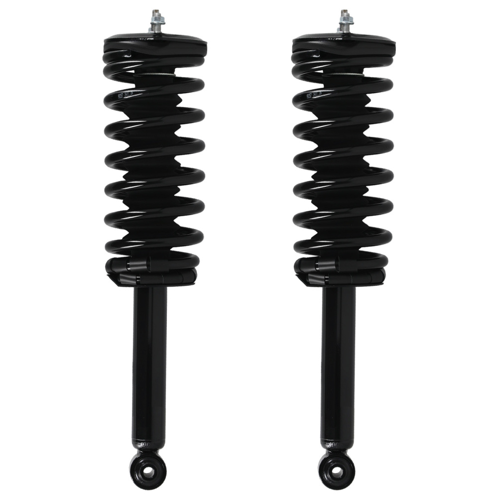 Rear Struts w/Coil Spring Assembly compatible for Nissan Maxima 1995-1999 1336316 171293