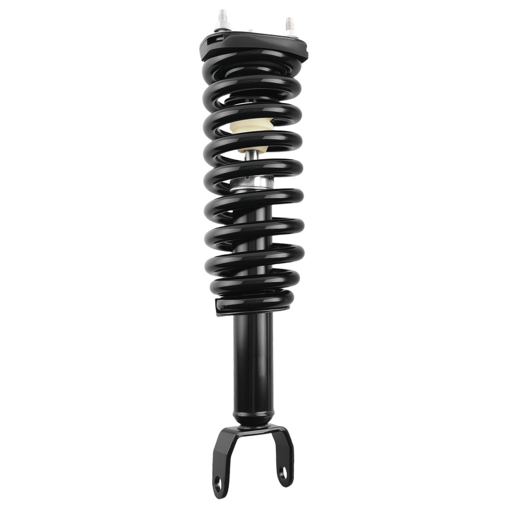 Front Struts w/Springs Absorber compatible for Mitsubishi Raider 2006-2009 compatible for Dodge Dakota 4WD