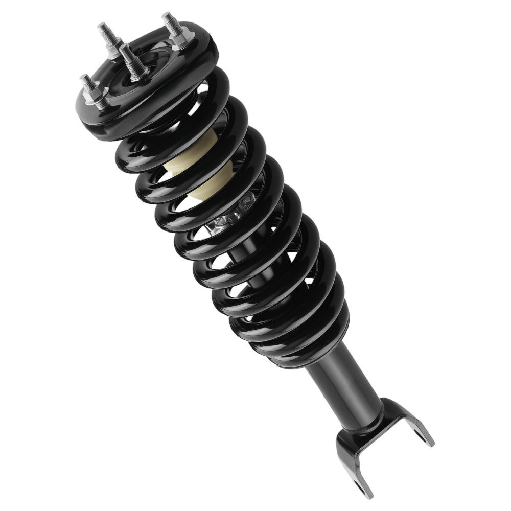 Front Struts w/Springs Absorber compatible for Mitsubishi Raider 2006-2009 compatible for Dodge Dakota 4WD