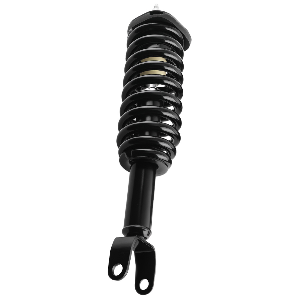 Front Struts w/Springs Absorber compatible for Mitsubishi Raider 2006-2009 compatible for Dodge Dakota 4WD