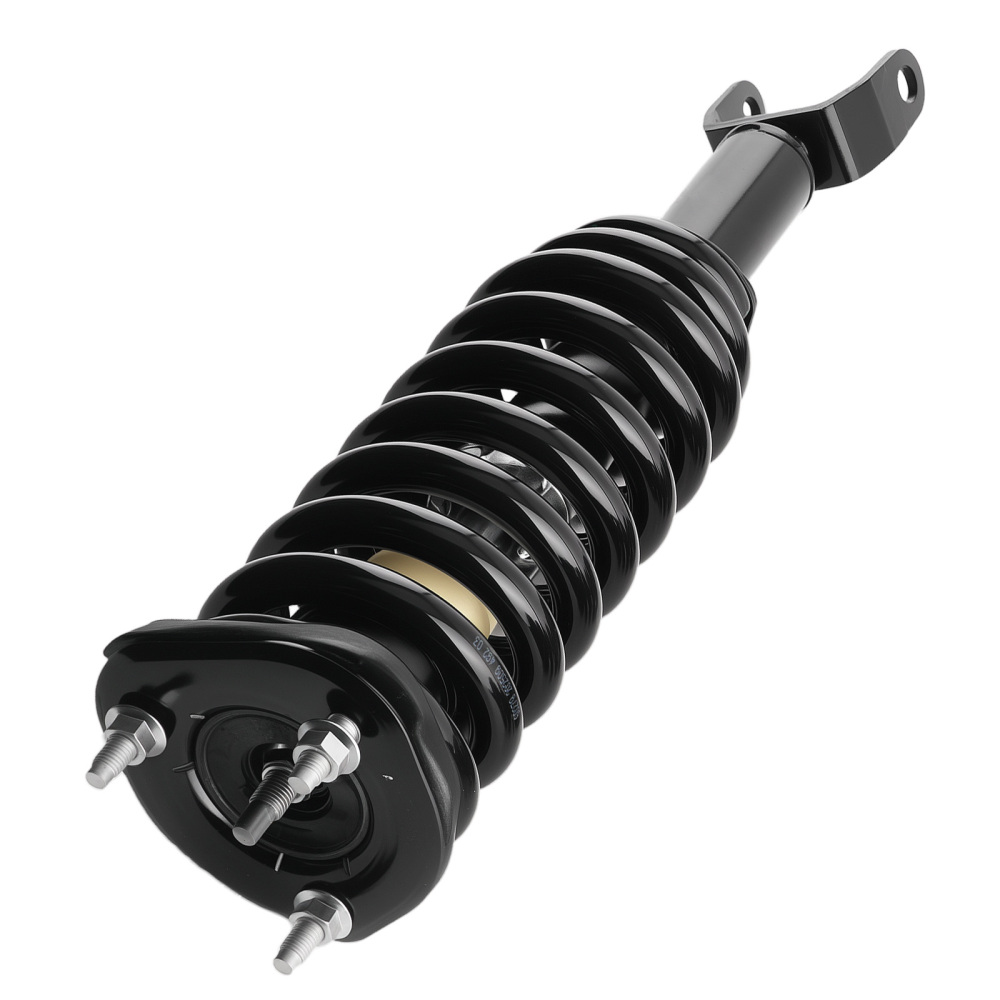 Front Struts w/Springs Absorber compatible for Mitsubishi Raider 2006-2009 compatible for Dodge Dakota 4WD