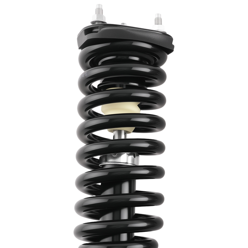 Front Struts w/Springs Absorber compatible for Mitsubishi Raider 2006-2009 compatible for Dodge Dakota 4WD