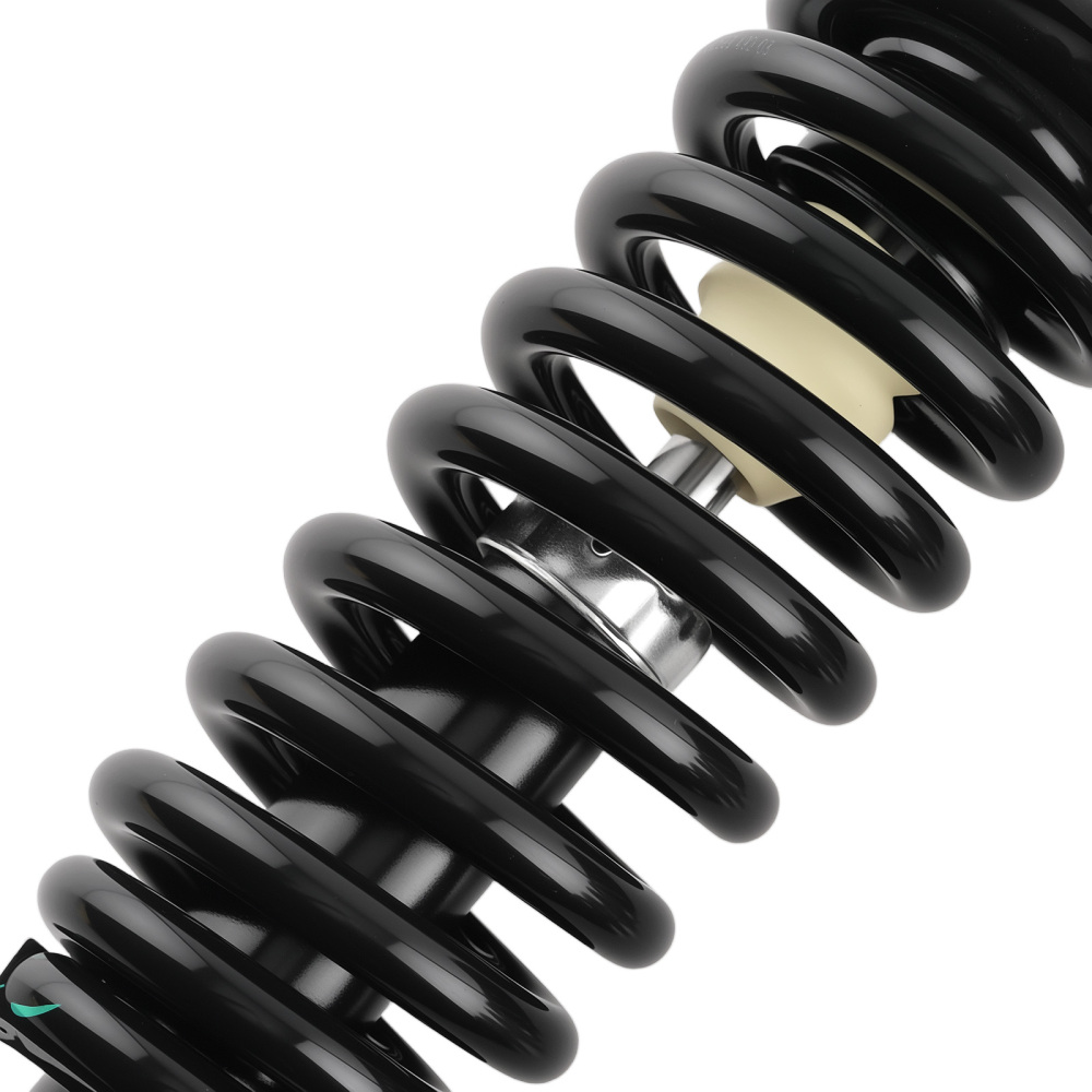 Front Struts w/Springs Absorber compatible for Mitsubishi Raider 2006-2009 compatible for Dodge Dakota 4WD