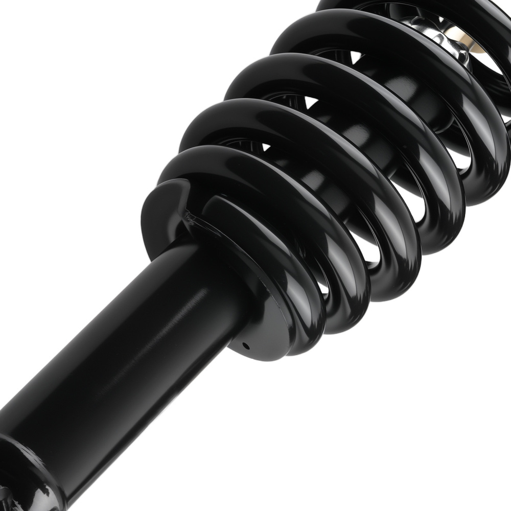 Front Struts w/Springs Absorber compatible for Mitsubishi Raider 2006-2009 compatible for Dodge Dakota 4WD