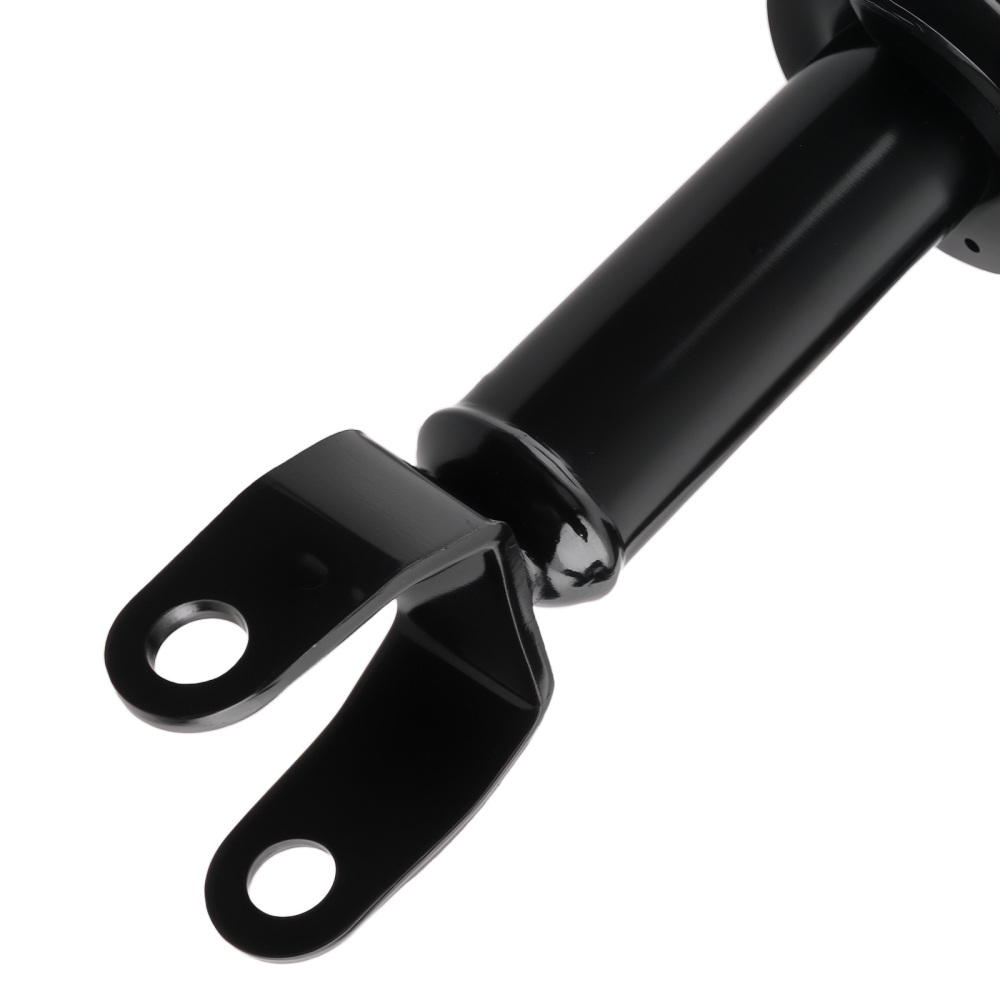 Front Struts w/Springs Absorber compatible for Mitsubishi Raider 2006-2009 compatible for Dodge Dakota 4WD