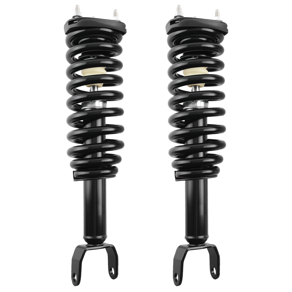Front Struts w/Springs Absorber compatible for Mitsubishi Raider 2006-2009 compatible for Dodge Dakota 4WD
