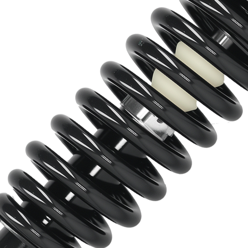 Front Rear Complete Shocks Struts Coil Spring compatible for Dodge Dakota 2005-2009 4WD