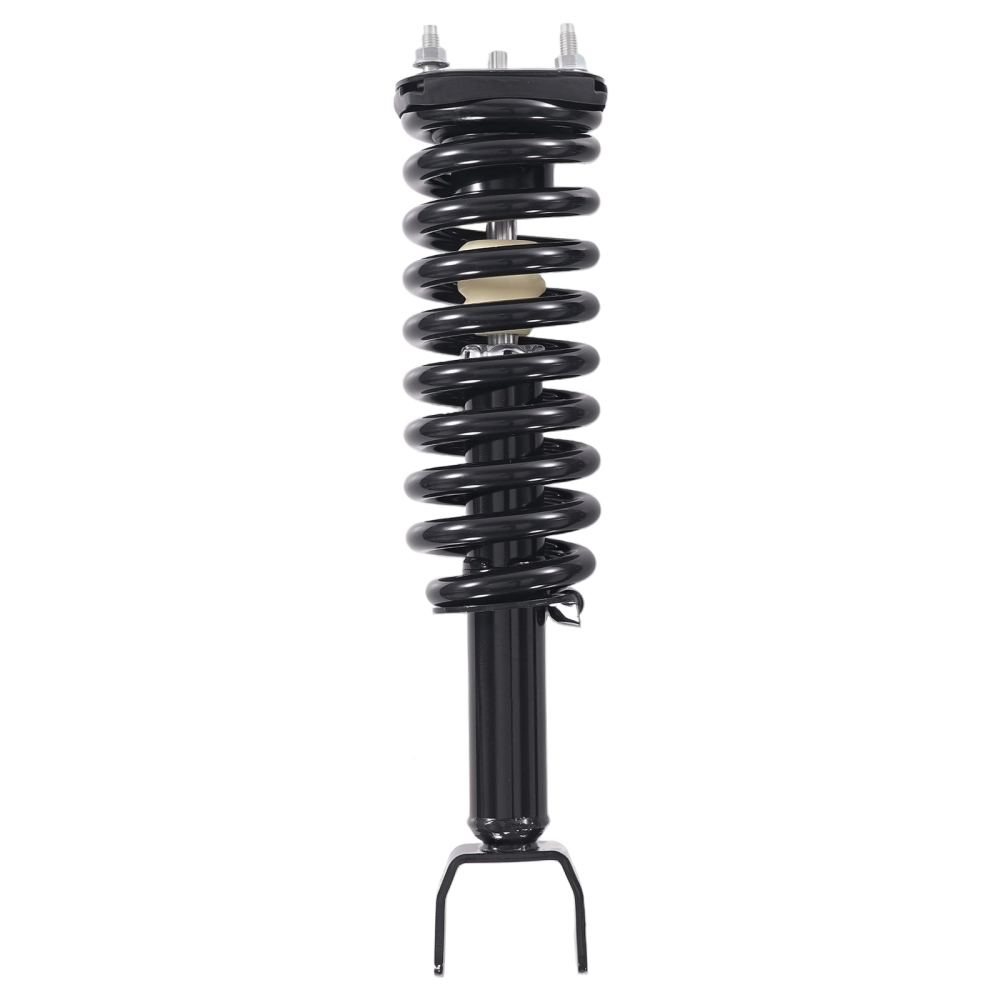 2pcs Front Struts w/ Coil Springs Suspension compatible for Dodge Dakota 2005-2009 2WD