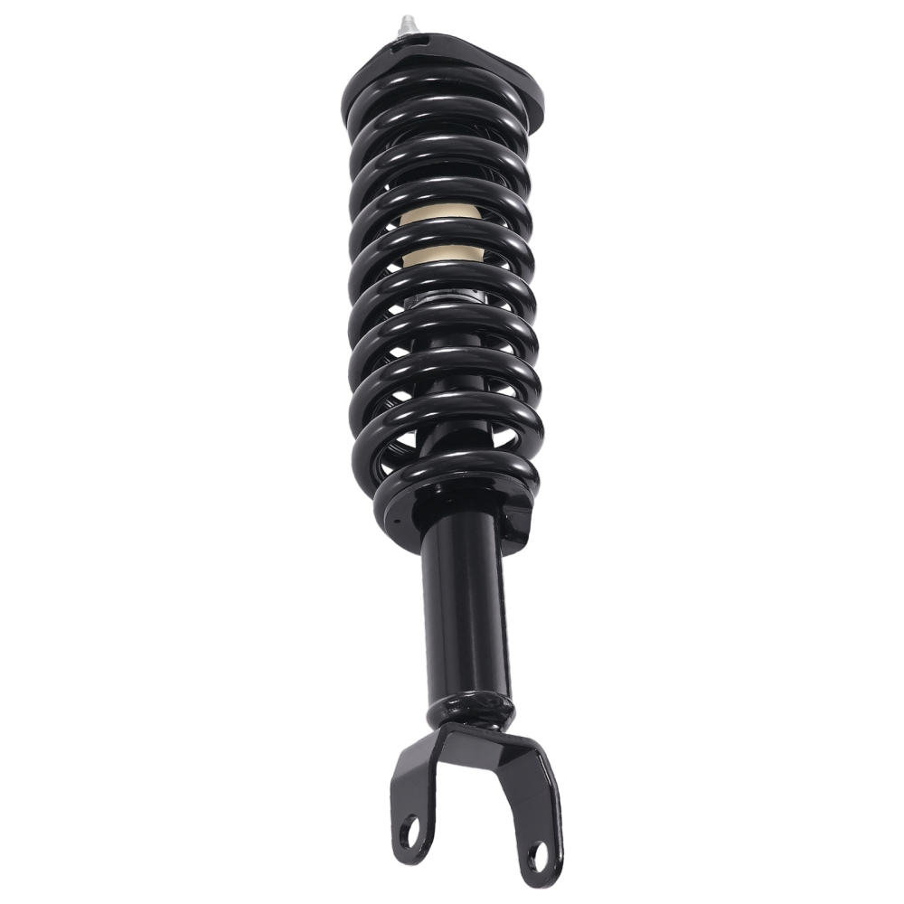 2pcs Front Struts w/ Coil Springs Suspension compatible for Dodge Dakota 2005-2009 2WD
