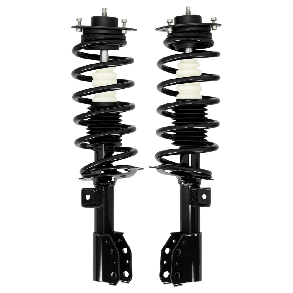 Front Struts Rear Shock Assembly for 2005 2006 compatible for Chevrolet Equinox Pontiac Torrent