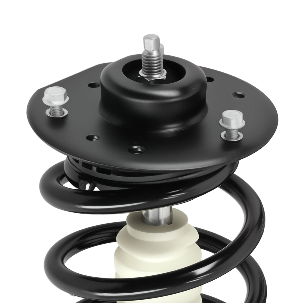 Front Struts Rear Shock Assembly for 2005 2006 compatible for Chevrolet Equinox Pontiac Torrent