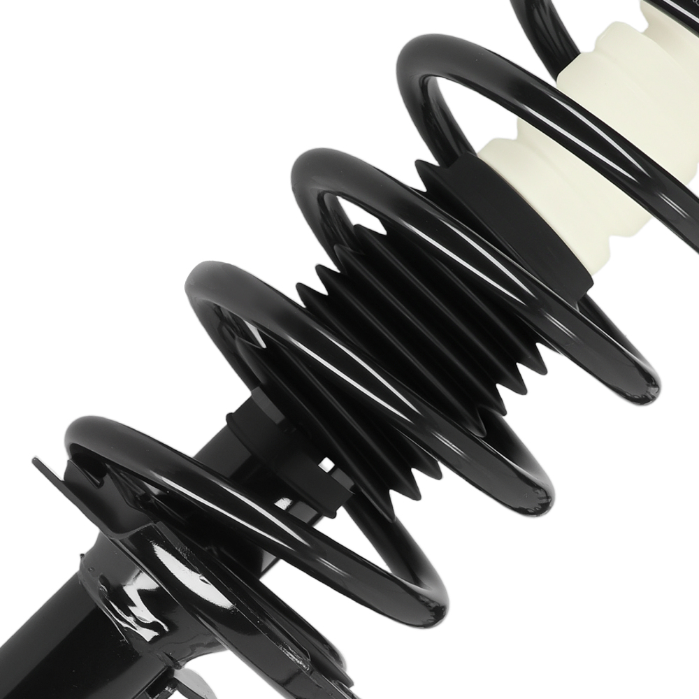 Front Struts Rear Shock Assembly for 2005 2006 compatible for Chevrolet Equinox Pontiac Torrent