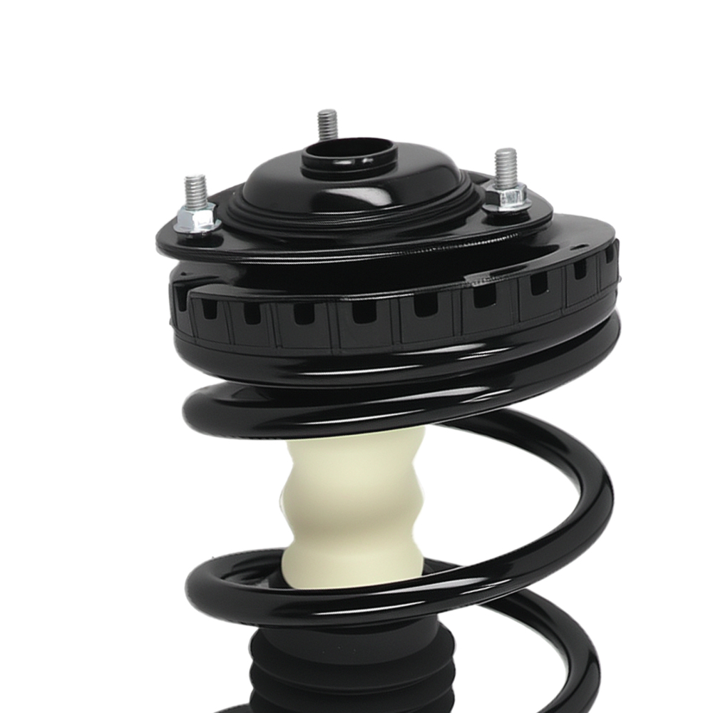 Pair 2 Rear LH RH Quick Complete Strut-Coil Spring For 1998-2002 compatible for Subaru Forester