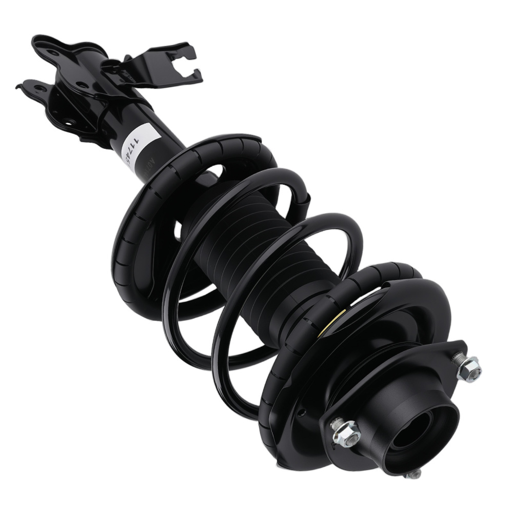 Pair Front Complete Struts w/Coil Springs compatible for Nissan Altima 2000-2001 171675 NEW