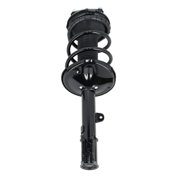 AWD Front Strut Coil SpringRear Shock Absorber Kit for 2001-2005 compatible for Toyota RAV4