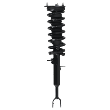 Pair Front Complete Struts w/Coil Springs compatible for Infiniti G35 Coupe Only W/ Sport