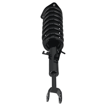 Pair Front Complete Struts w/Coil Springs compatible for Infiniti G35 Coupe Only W/ Sport