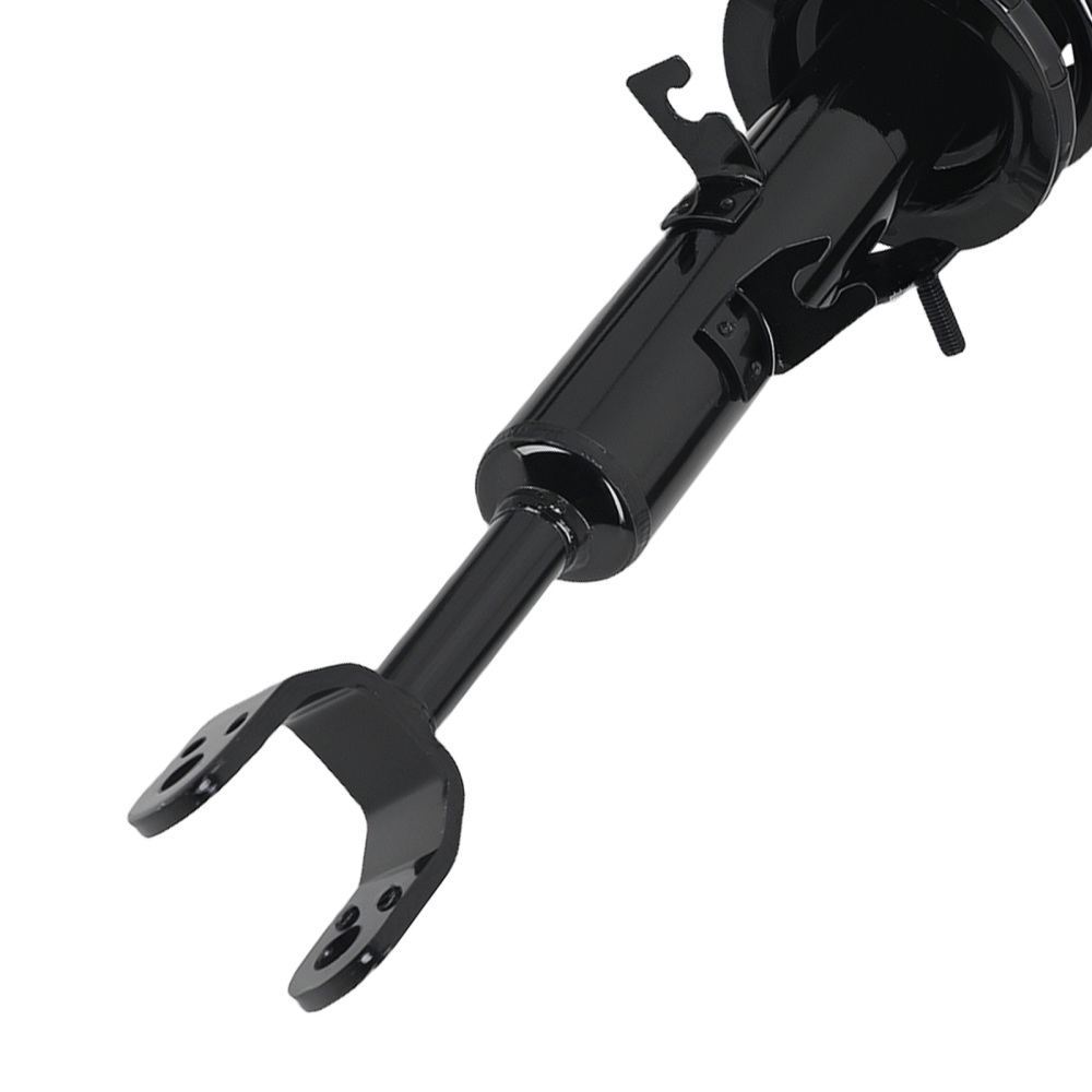 Pair Front Complete Struts w/Coil Springs compatible for Infiniti G35 Coupe Only W/ Sport