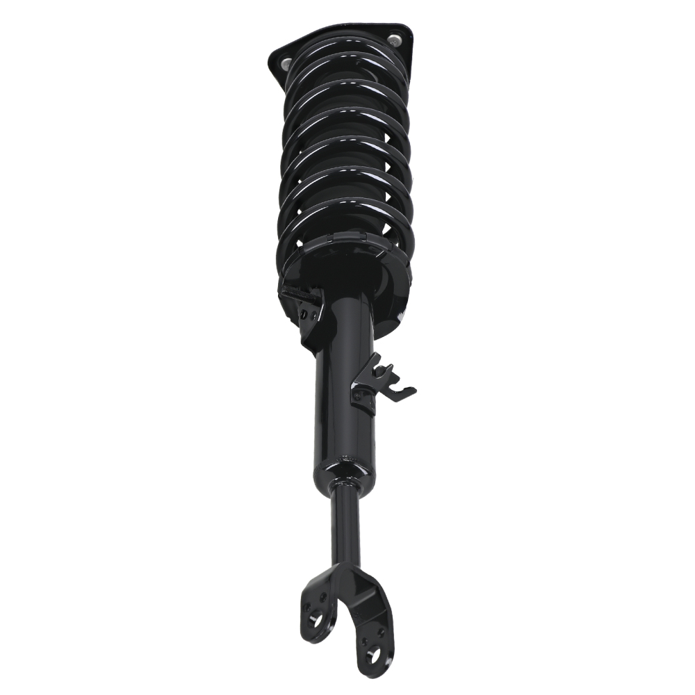 Rear Front Complete Struts w/Coil Springs for 2003 - 2007 compatible for Infiniti G35 172251