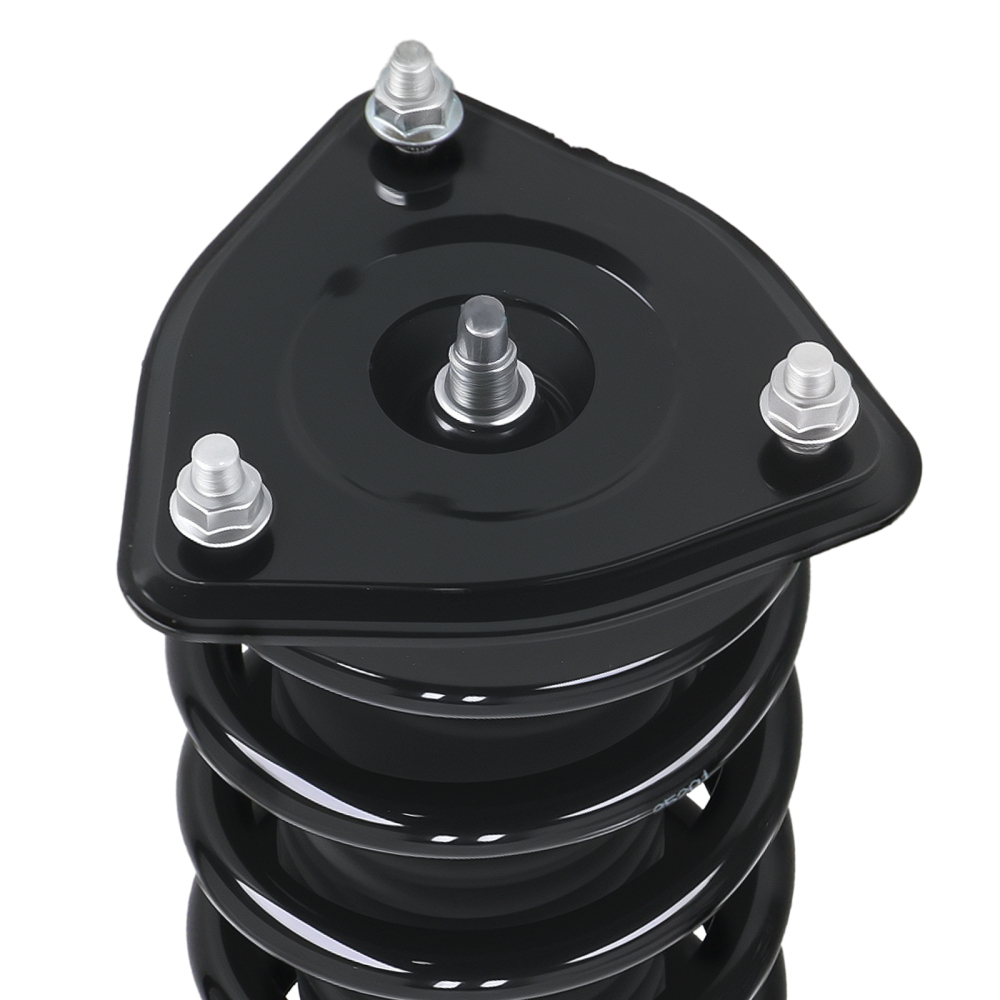Rear Front Complete Struts w/Coil Springs for 2003 - 2007 compatible for Infiniti G35 172251