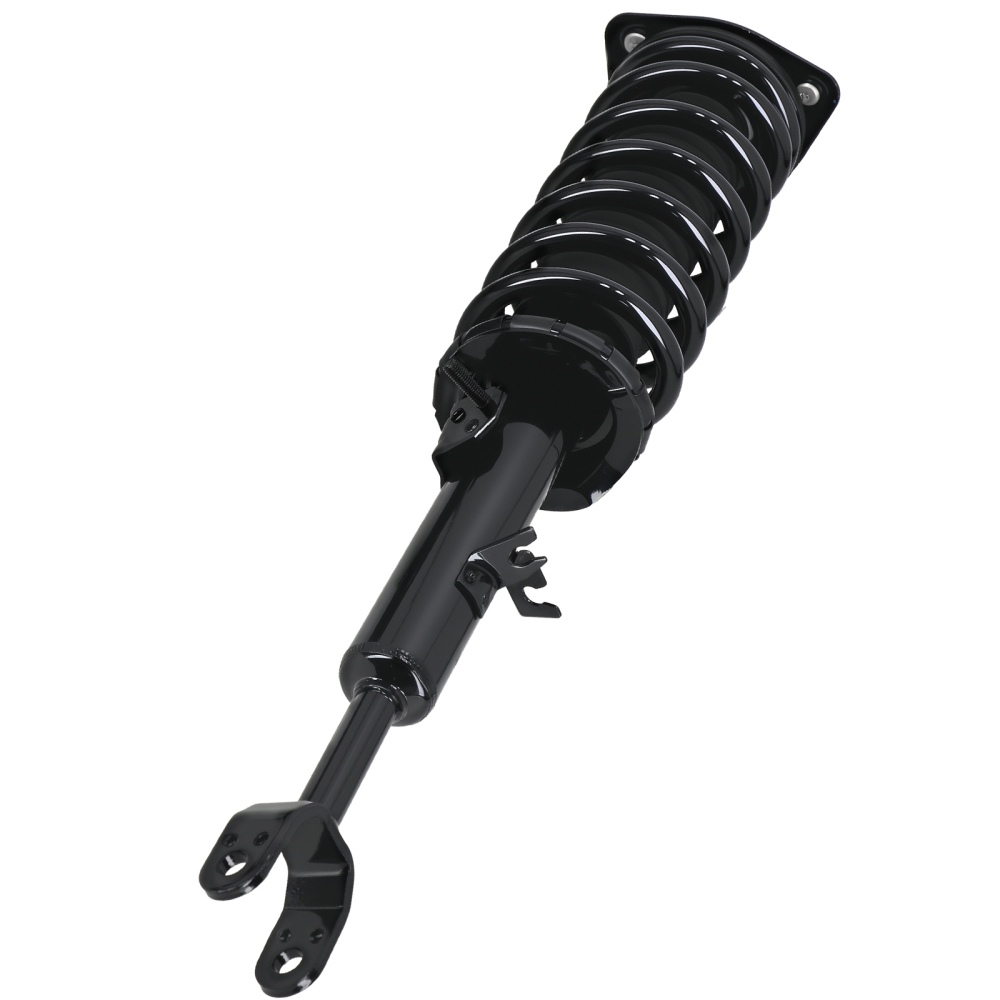 Rear Front Complete Struts w/Coil Springs for 2003 - 2007 compatible for Infiniti G35 172251