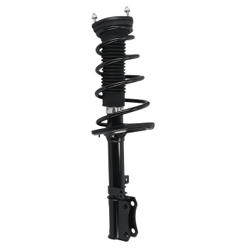 Rear Left Right Struts w /Coil Springs Assembly for 2006 2007 2008 compatible for Toyota Solara