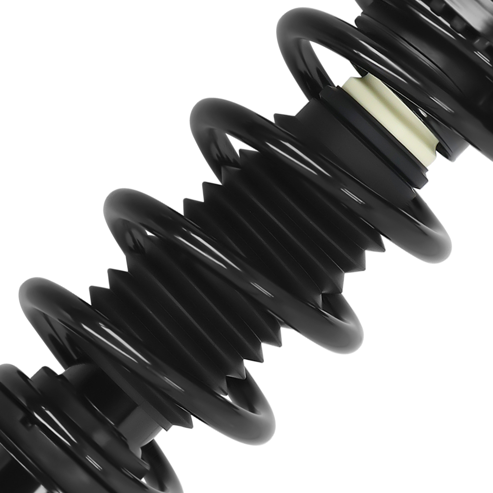 4pcs Rear Front Struts Assembly compatible for Dodge Charger 2011-2021 SE R/T RWD