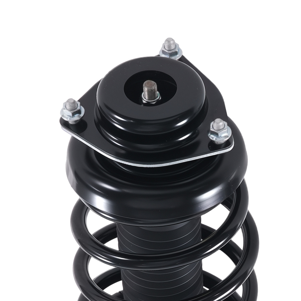 Front Complete Struts Shocks Set of 2 For 2002-2004 compatible for Nissan Pathfinder 4WD NEW