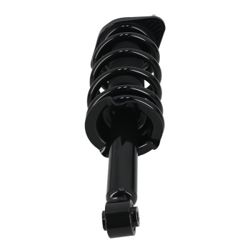 Rear Struts w/Coil Spring Assembly + Rear Sway Bars for 2012 - 2016 compatible for Honda CR-V