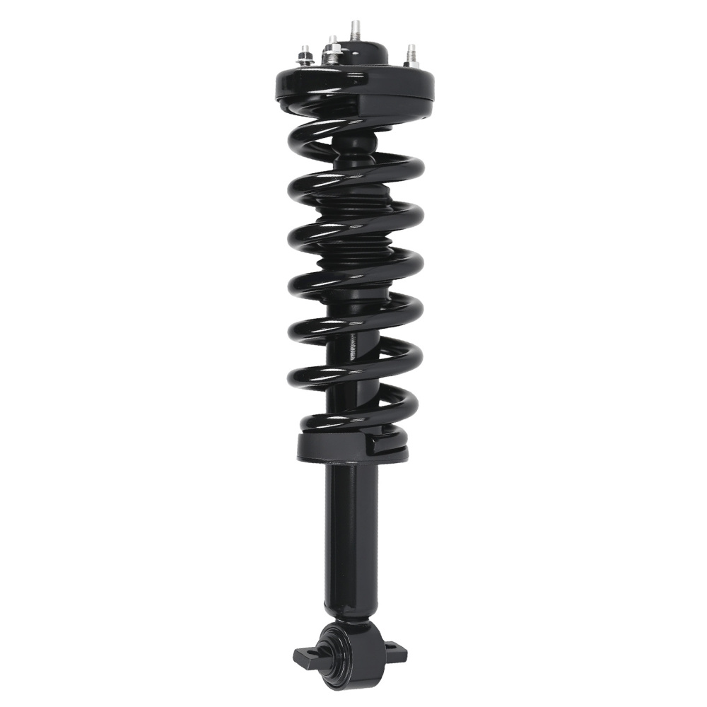 2pcs Front Struts w/Springs Suspension compatible for Ford F-150 2014 4WD 172652L