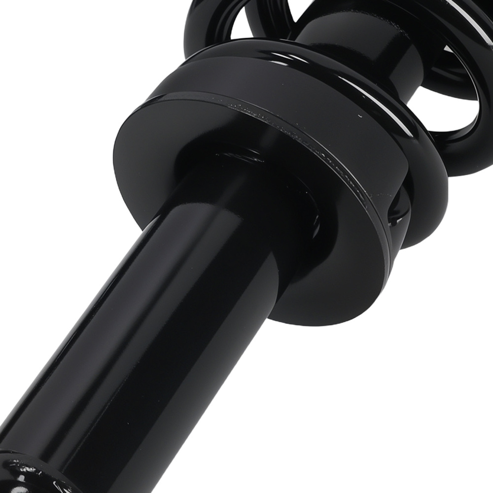 2pcs Front Struts w/Springs Suspension compatible for Ford F-150 2014 4WD 172652L
