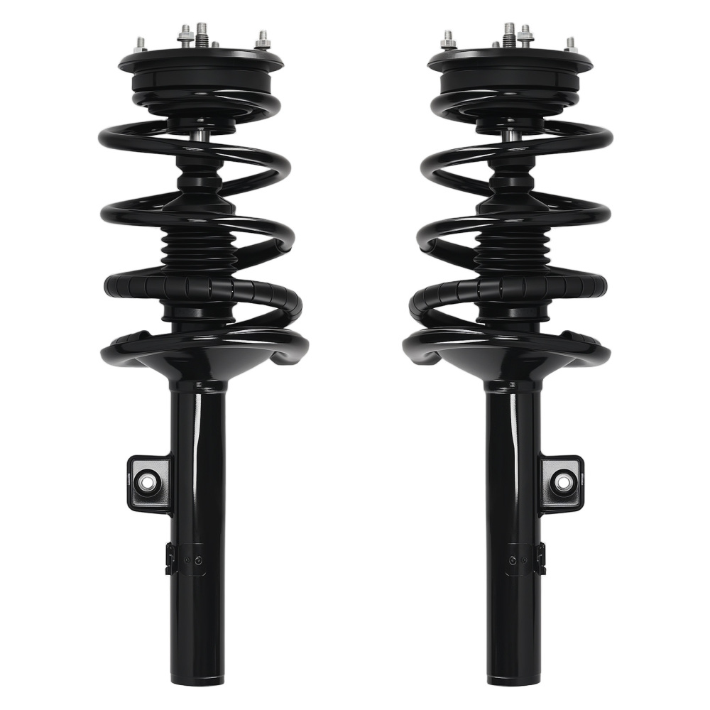 2pcs Front Left + Right Strut Spring compatible for Ford Freestyle 2005-2007 3.0L