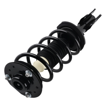 2pc Front Struts w/ Coil Spring Assembly compatible for Chevrolet Captiva Sport compatible for GMC Terrain