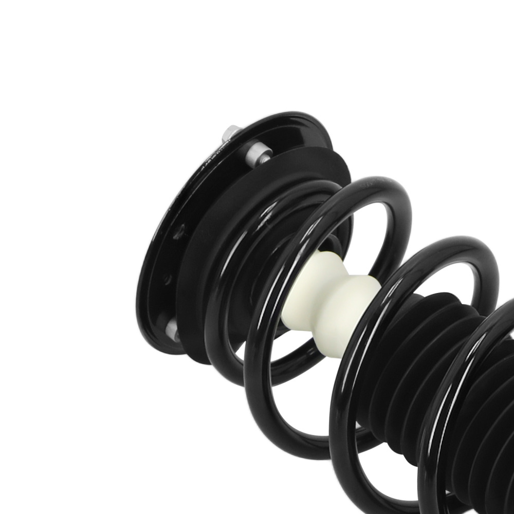 Front Struts with Coil Spring Rear Shocks Assembly for 2010-2017 compatible for GMC Terrain