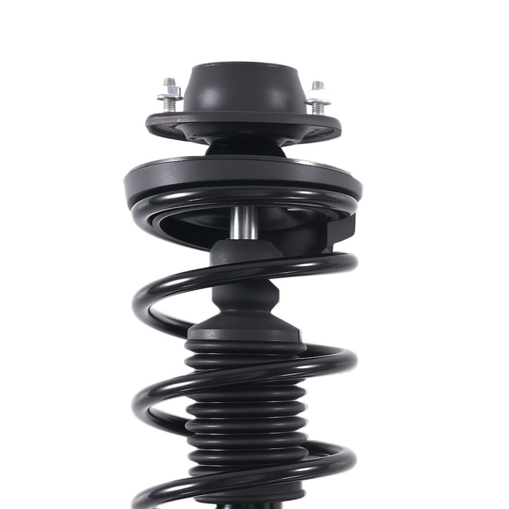 Rear Struts w/ Coil Spring Assembly FOR 2004-2008 compatible for Suzuki Forenza 172450,172451