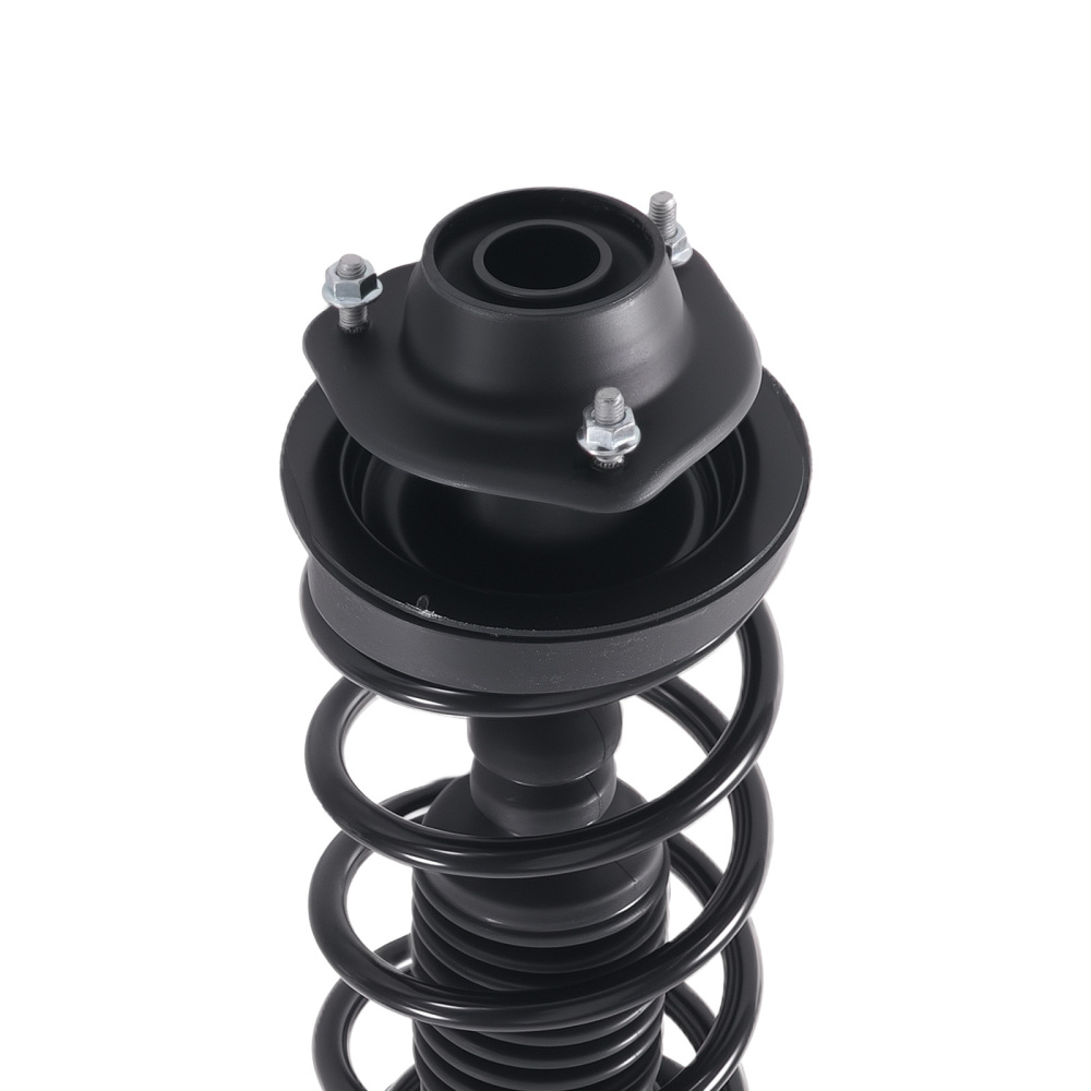 Rear Struts w/ Coil Spring Assembly FOR 2004-2008 compatible for Suzuki Forenza 172450,172451