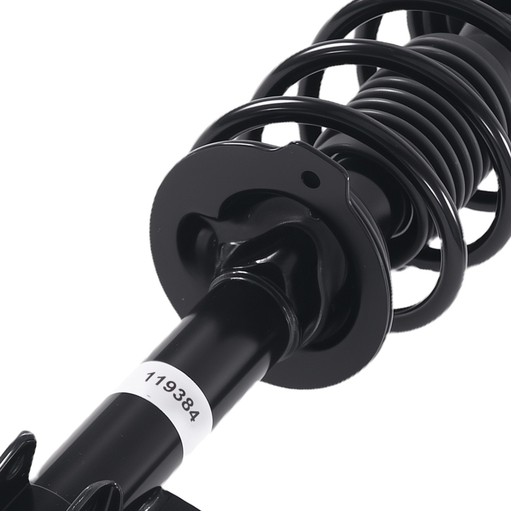 Rear Struts w/ Coil Spring Assembly FOR 2004-2008 compatible for Suzuki Forenza 172450,172451